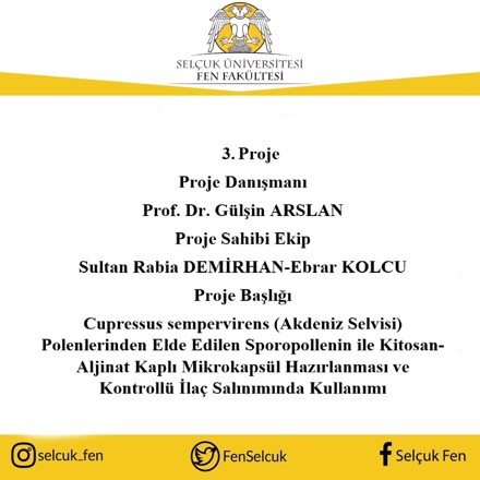 2209-A Üniversite Öğrencileri Araştırma Projeleri Destekleme Programı